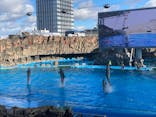 名古屋港水族館に投稿された画像（2021/12/26）