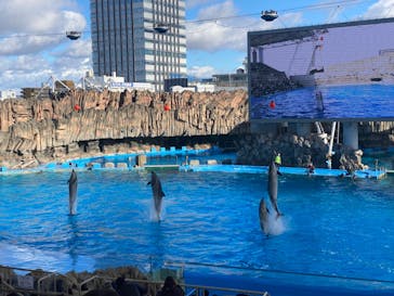 名古屋港水族館に投稿された画像（2021/12/26）
