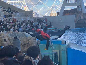 名古屋港水族館に投稿された画像（2021/12/26）