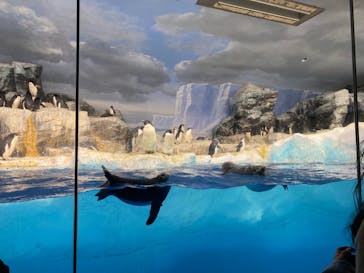 名古屋港水族館に投稿された画像（2021/12/26）