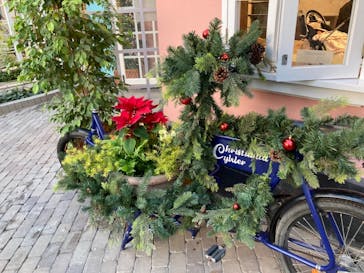 安城産業文化公園デンパークに投稿された画像（2021/12/26）