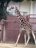 横浜市立金沢動物園に投稿された画像（2021/12/26）