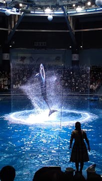 マクセル アクアパーク品川に投稿された画像（2021/12/26）