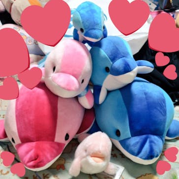 マクセル アクアパーク品川に投稿された画像（2021/12/26）