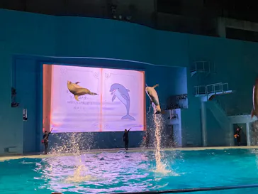 横浜・八景島シーパラダイスに投稿された画像（2021/12/26）