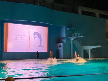 横浜・八景島シーパラダイスに投稿された画像（2021/12/26）