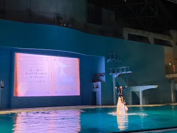 横浜・八景島シーパラダイスに投稿された画像（2021/12/26）