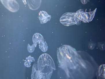 マリンワールド海の中道に投稿された画像（2021/12/26）