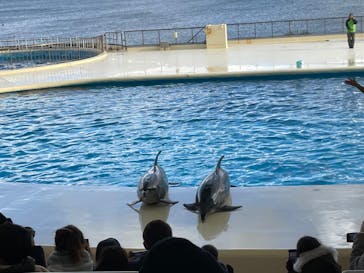 マリンワールド海の中道に投稿された画像（2021/12/26）