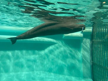 マリンワールド海の中道に投稿された画像（2021/12/26）