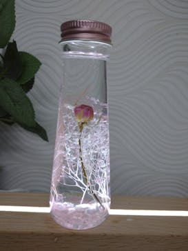 ずこうしつ〜sugamo〜に投稿された画像（2021/12/26）