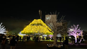 東京メガイルミに投稿された画像（2021/12/26）