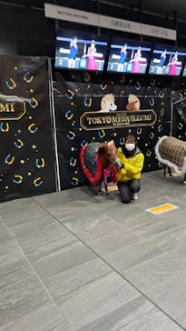 東京メガイルミに投稿された画像（2021/12/26）