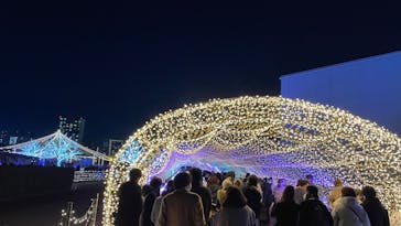 東京メガイルミに投稿された画像（2021/12/26）