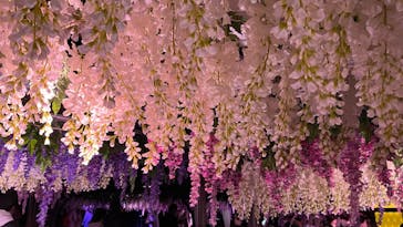 東京メガイルミに投稿された画像（2021/12/26）