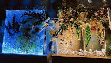 ずこうしつ〜sugamo〜に投稿された画像（2021/12/26）