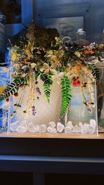 ずこうしつ〜sugamo〜に投稿された画像（2021/12/26）