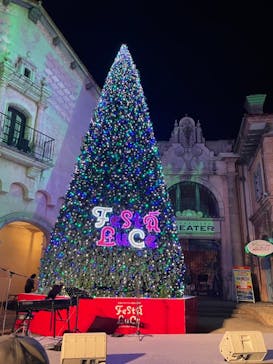 ポルトヨーロッパに投稿された画像（2021/12/26）