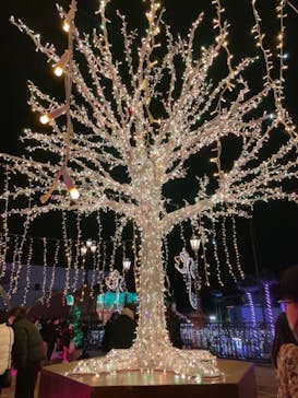 ポルトヨーロッパに投稿された画像（2021/12/26）