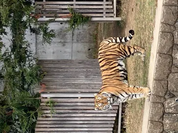 天王寺動物園に投稿された画像（2021/12/26）