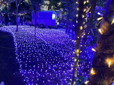 江の島シーキャンドルに投稿された画像（2021/12/26）