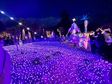 江の島シーキャンドルに投稿された画像（2021/12/26）