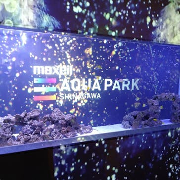 マクセル アクアパーク品川に投稿された画像（2021/12/26）