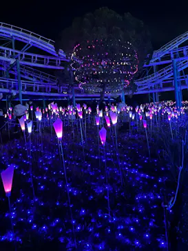 ひらかたパークに投稿された画像（2021/12/26）