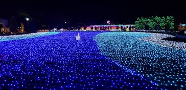 東武動物公園に投稿された画像（2021/12/26）