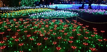 東武動物公園に投稿された画像（2021/12/26）