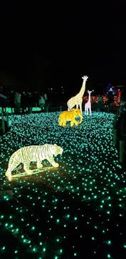 東武動物公園に投稿された画像（2021/12/26）