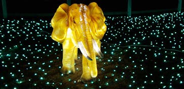 東武動物公園に投稿された画像（2021/12/26）