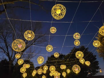 よみうりランド HANA･BIYORIに投稿された画像（2021/12/26）