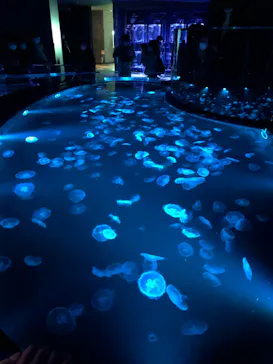 すみだ水族館に投稿された画像（2021/12/26）