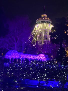 江の島シーキャンドルに投稿された画像（2021/12/26）