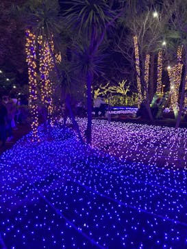 江の島シーキャンドルに投稿された画像（2021/12/26）