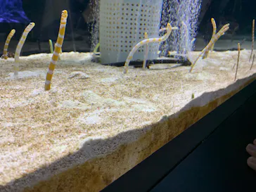 すみだ水族館に投稿された画像（2021/12/26）