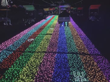 さがみ湖MORI MORIに投稿された画像（2021/12/26）