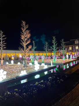 神戸イルミナージュに投稿された画像（2021/12/26）