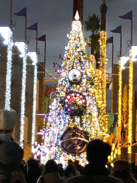 ひらかたパークに投稿された画像（2021/12/26）