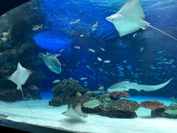 サンシャイン水族館に投稿された画像（2021/12/26）