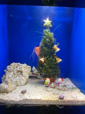 サンシャイン水族館に投稿された画像（2021/12/26）