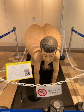 サンシャイン水族館に投稿された画像（2021/12/26）