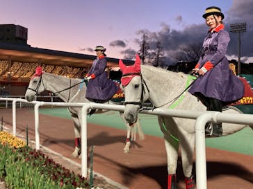 東京メガイルミに投稿された画像（2021/12/26）