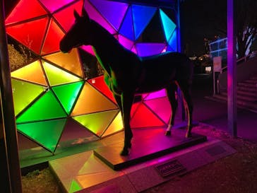 東京メガイルミに投稿された画像（2021/12/26）