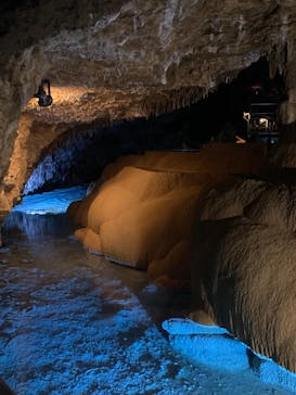 おきなわワールドに投稿された画像（2021/12/26）