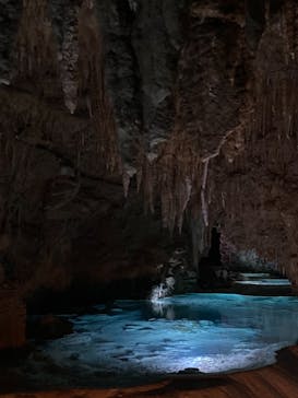 おきなわワールドに投稿された画像（2021/12/26）