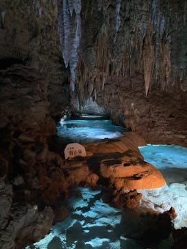 おきなわワールドに投稿された画像（2021/12/26）