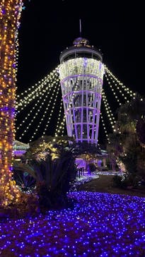 江の島シーキャンドルに投稿された画像（2021/12/26）