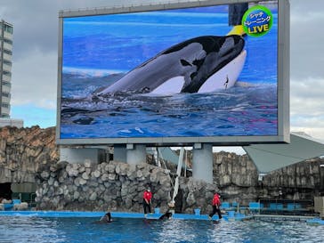 名古屋港水族館に投稿された画像（2021/12/26）